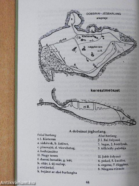 Nagyszerű vidék az a szepesi erdőség...