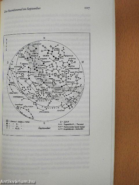 Die Sternbilder des Jahres