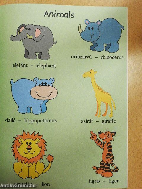 Első 100 szavam angolul