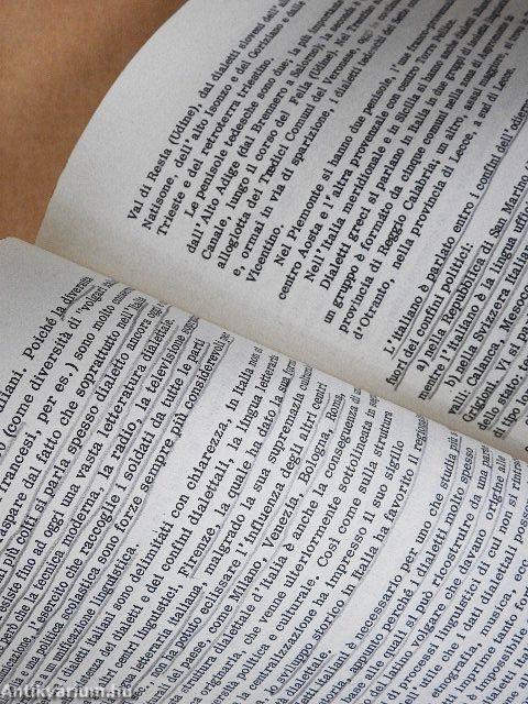 Manuale di Storia Della Lingua Italiana I.