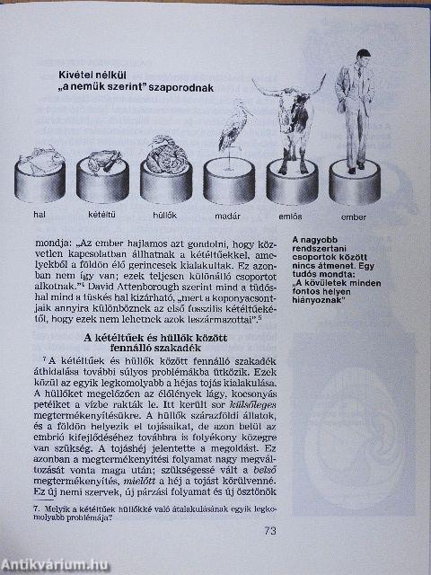 Az élet - hogyan jött létre?