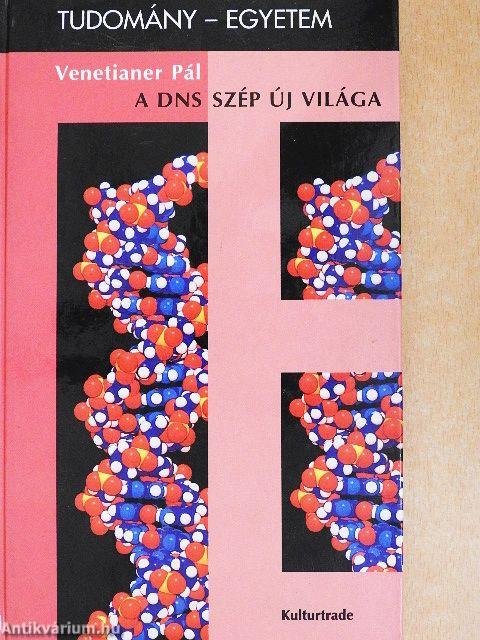 A DNS szép új világa