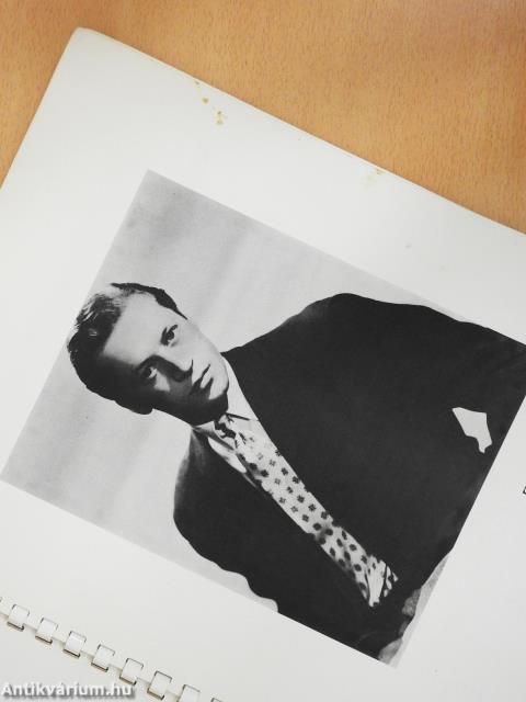 Mr. Ballet táncos (dedikált példány)