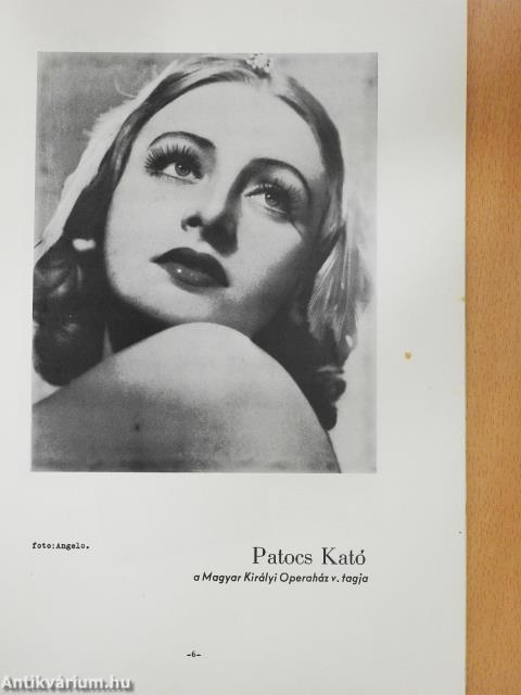 Mr. Ballet táncos (dedikált példány)