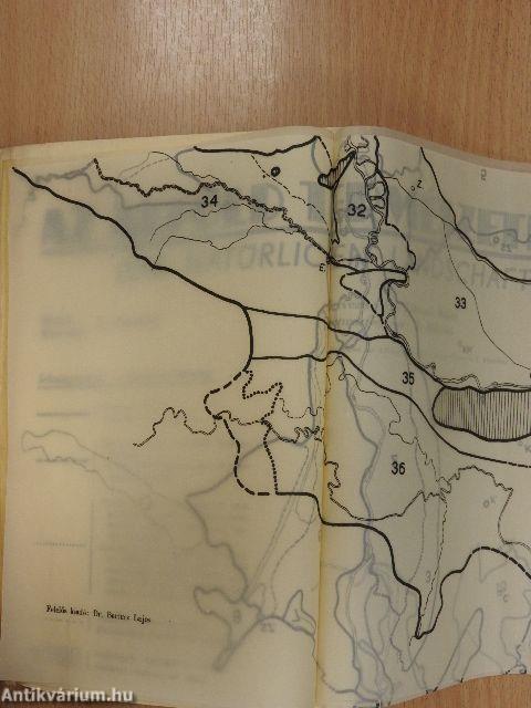 Az Alföldi Tudományos Intézet Évkönyve I.