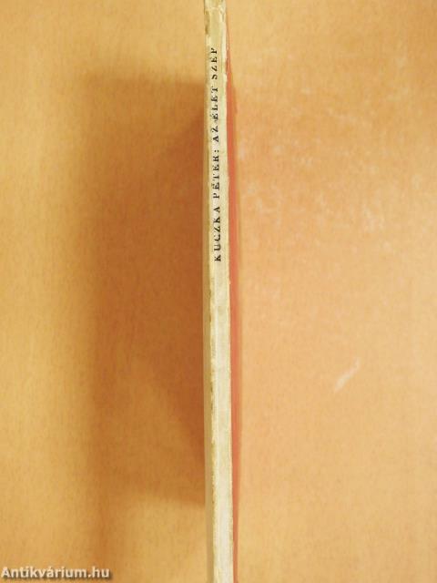 Az élet szép (dedikált példány)