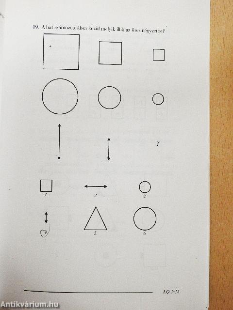 Intelligencia teszt I. Q.