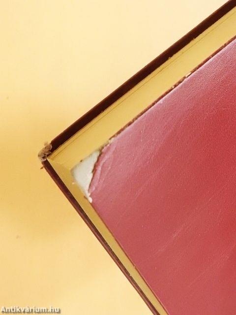 Magyar írók levelei