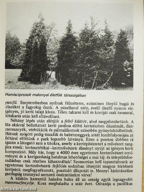 Szarvas - Arborétum