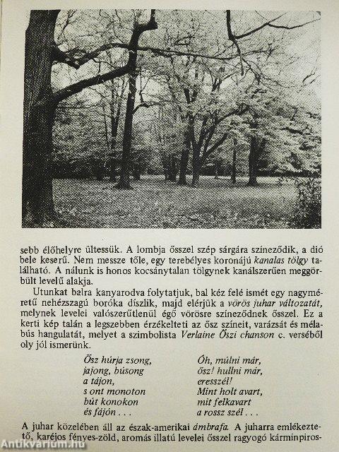 Szarvas - Arborétum