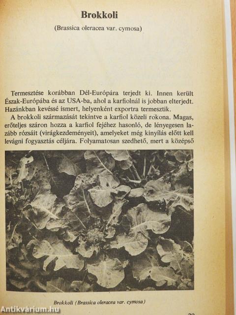 Különleges zöldségételek (dedikált példány)