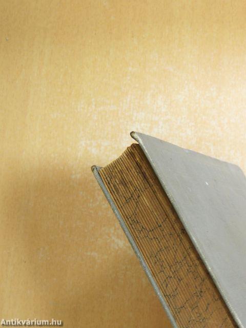 A boldogasszony dervise