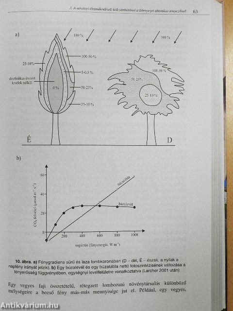 A növények ökofiziológiájának alapjai
