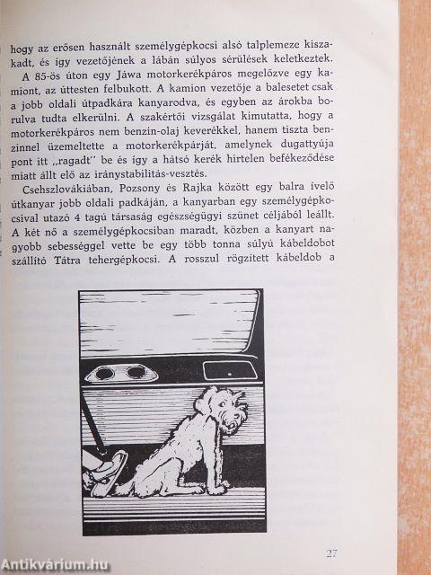 Defenzív vezetés