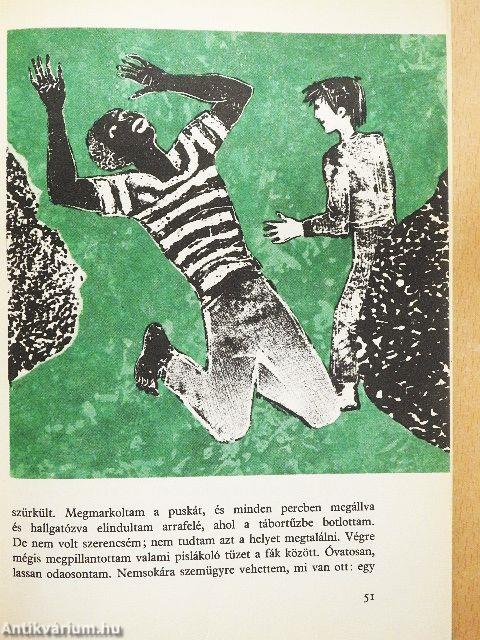 Huckleberry Finn kalandjai