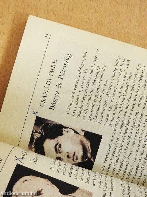 A Harminc év sorozat ismertetője (1945-1975)