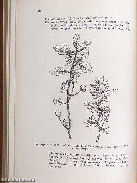 A magyar botanika története