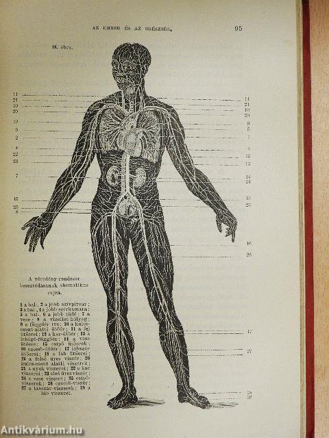 Az ember és az egészség