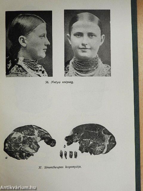 Fajkérdés-fajkutatás