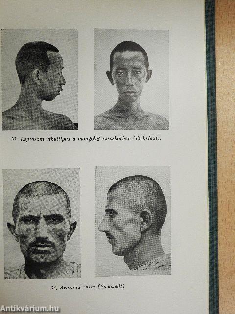 Fajkérdés-fajkutatás