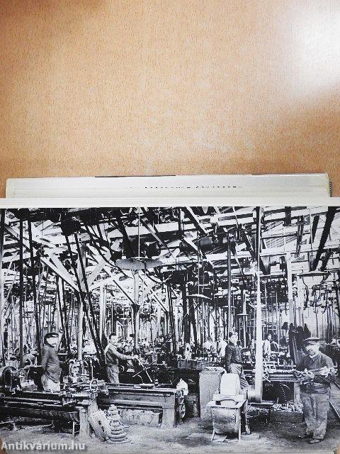 Histoire Économique et Sociale de la France IV/1.