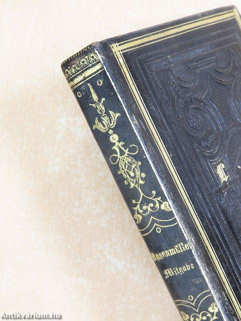 M. Rosenmüller's Mitgabe für das ganze Leben (gótbetűs)