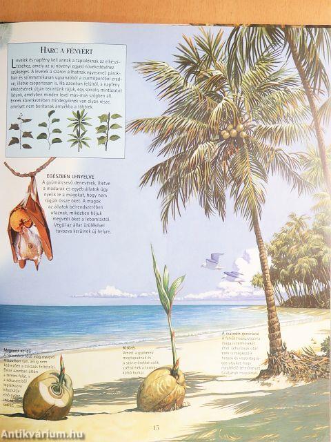 Csodálatos növények