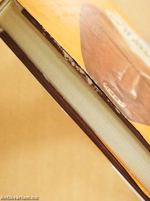 Az istenek és a dzsungel