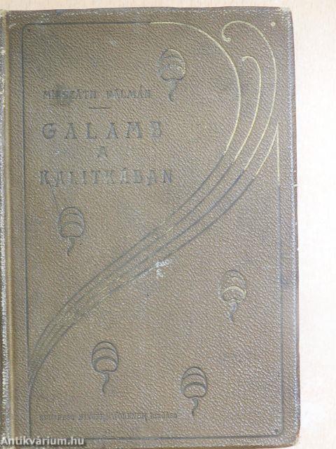 Galamb a kalitkában