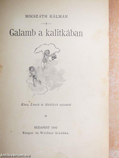 Galamb a kalitkában