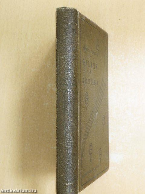 Galamb a kalitkában