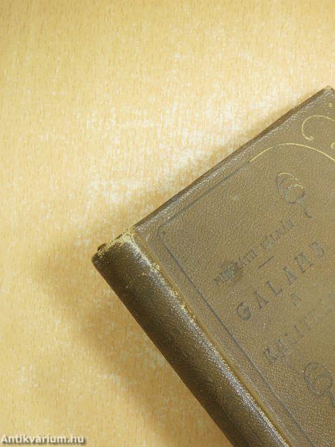 Galamb a kalitkában