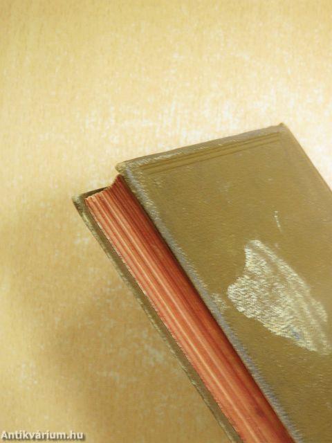 Galamb a kalitkában