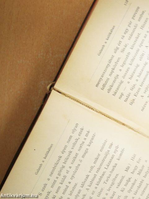 Galamb a kalitkában