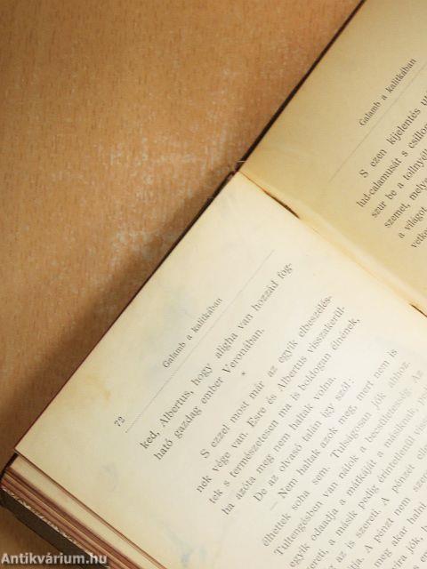 Galamb a kalitkában