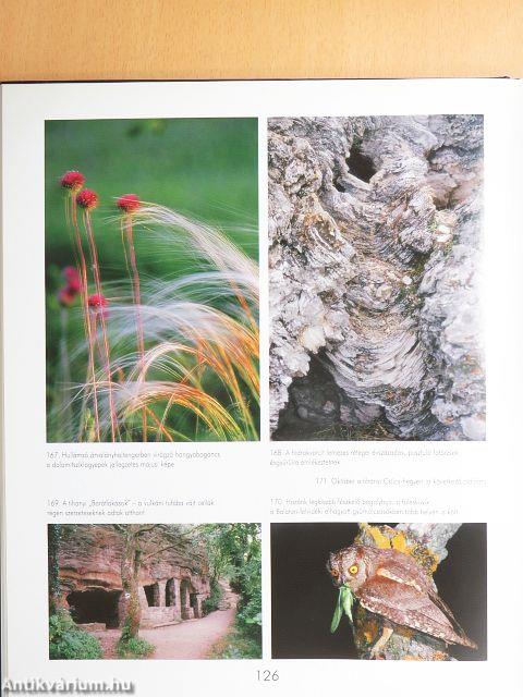 Értékőrző Magyarország