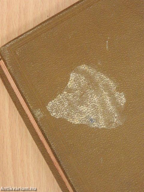 Galamb a kalitkában