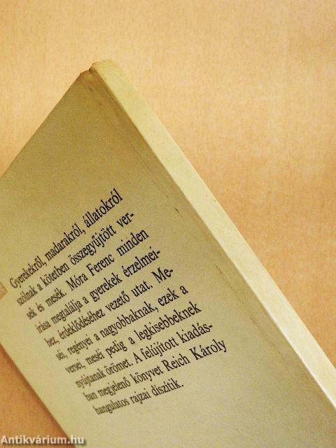 Sétálni megy Panka...