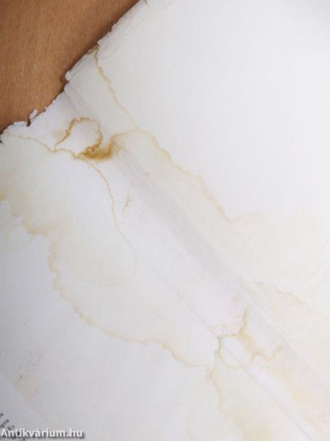 Moderne Schachtheorie II.