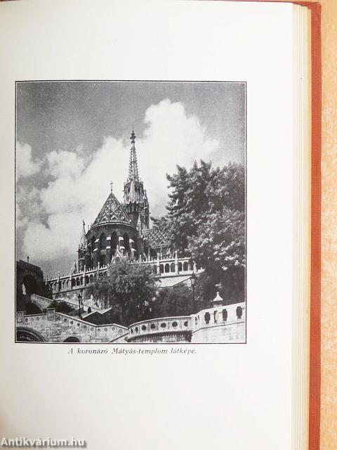 Közjogi alapismeretek