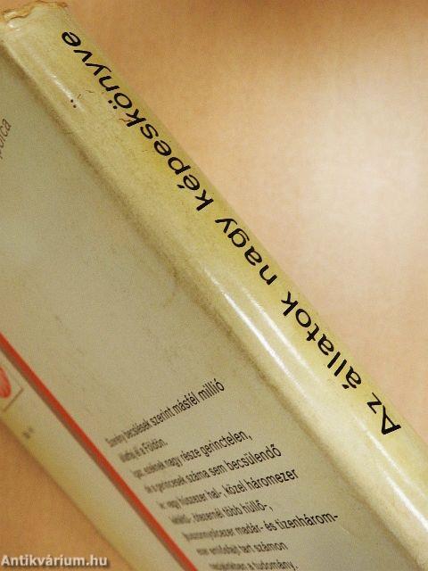 Az állatok nagy képeskönyve