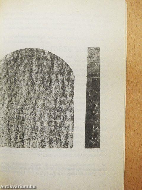 Számok valóson innen és túl