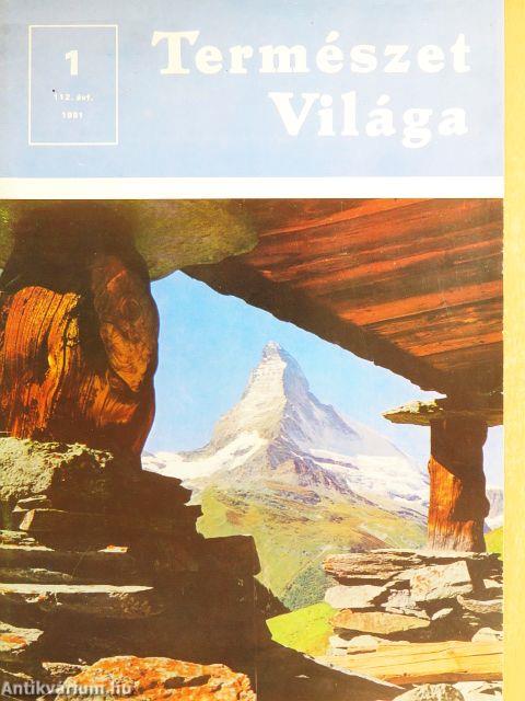 Természet Világa 1981. (nem teljes évfolyam)