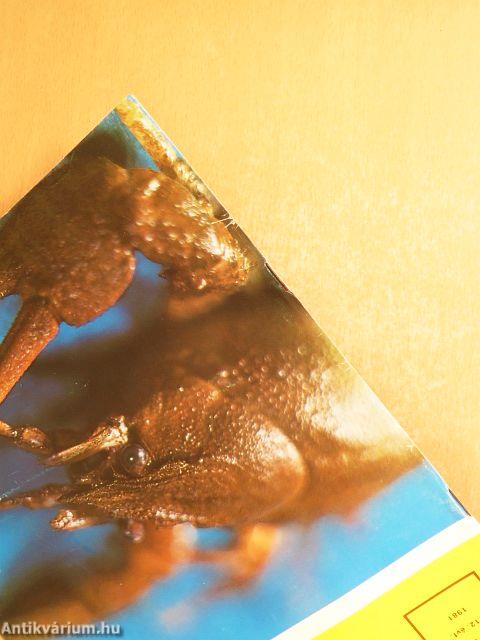 Természet Világa 1981. (nem teljes évfolyam)