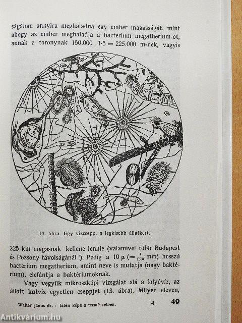 Isten képe a természetben