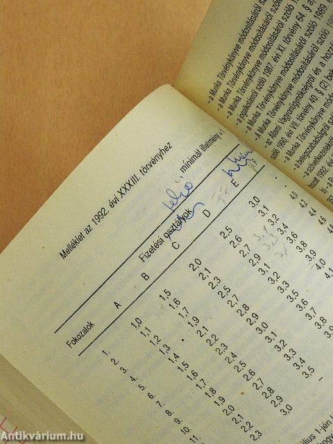 Iskolaszolga 1992. szeptember-1993. június