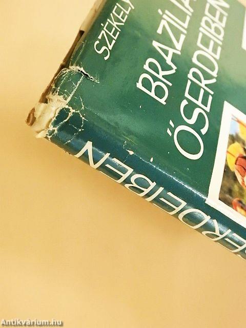 Brazília őserdeiben