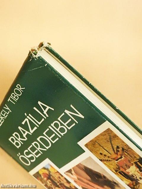 Brazília őserdeiben