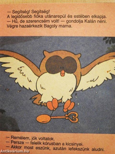 Kalán néni és a baglyok