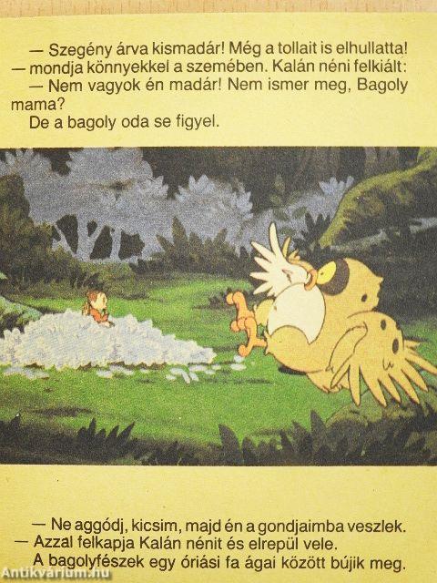 Kalán néni és a baglyok